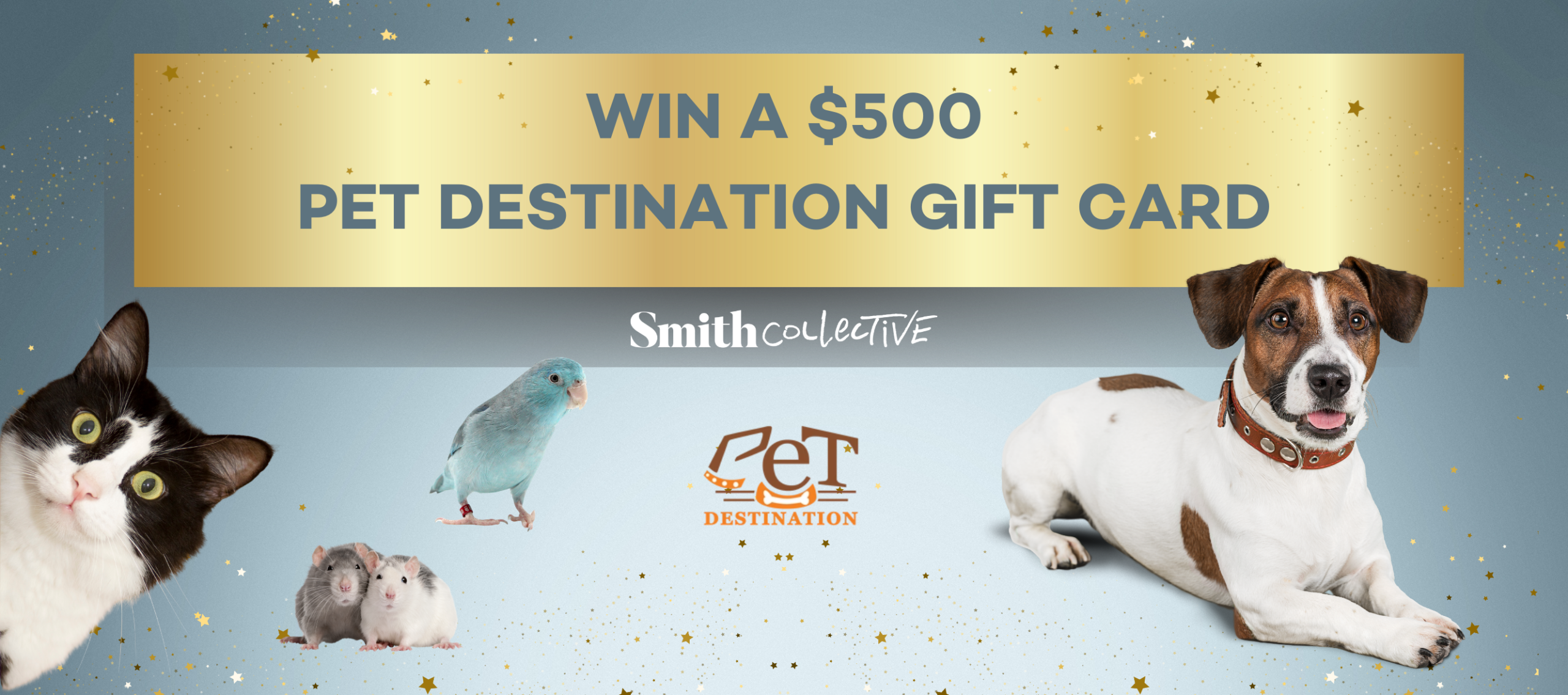 WIN A 100 PET DESTINATION GIFT CARD 4 scaled | The Smith Village